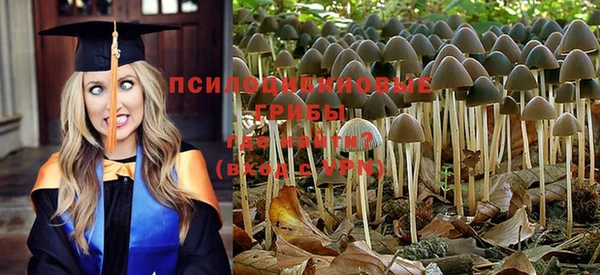 стафф Кукмор