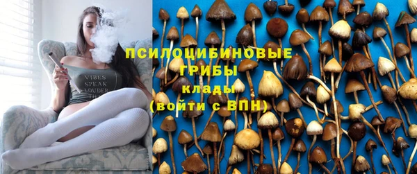 прущая мука Кулебаки