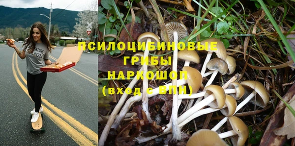 бошки Чекалин
