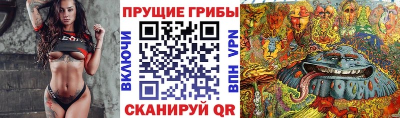 Галлюциногенные грибы Psilocybe Купить Малоархангельск